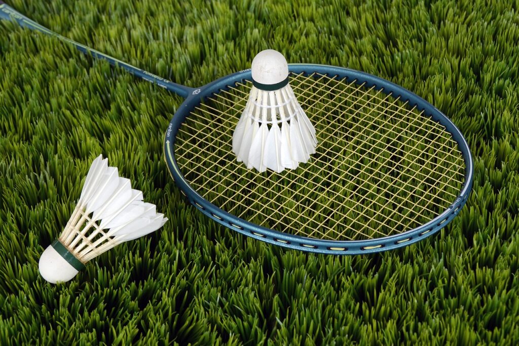 badminton, sport, shuttlecocks-1428046.jpg